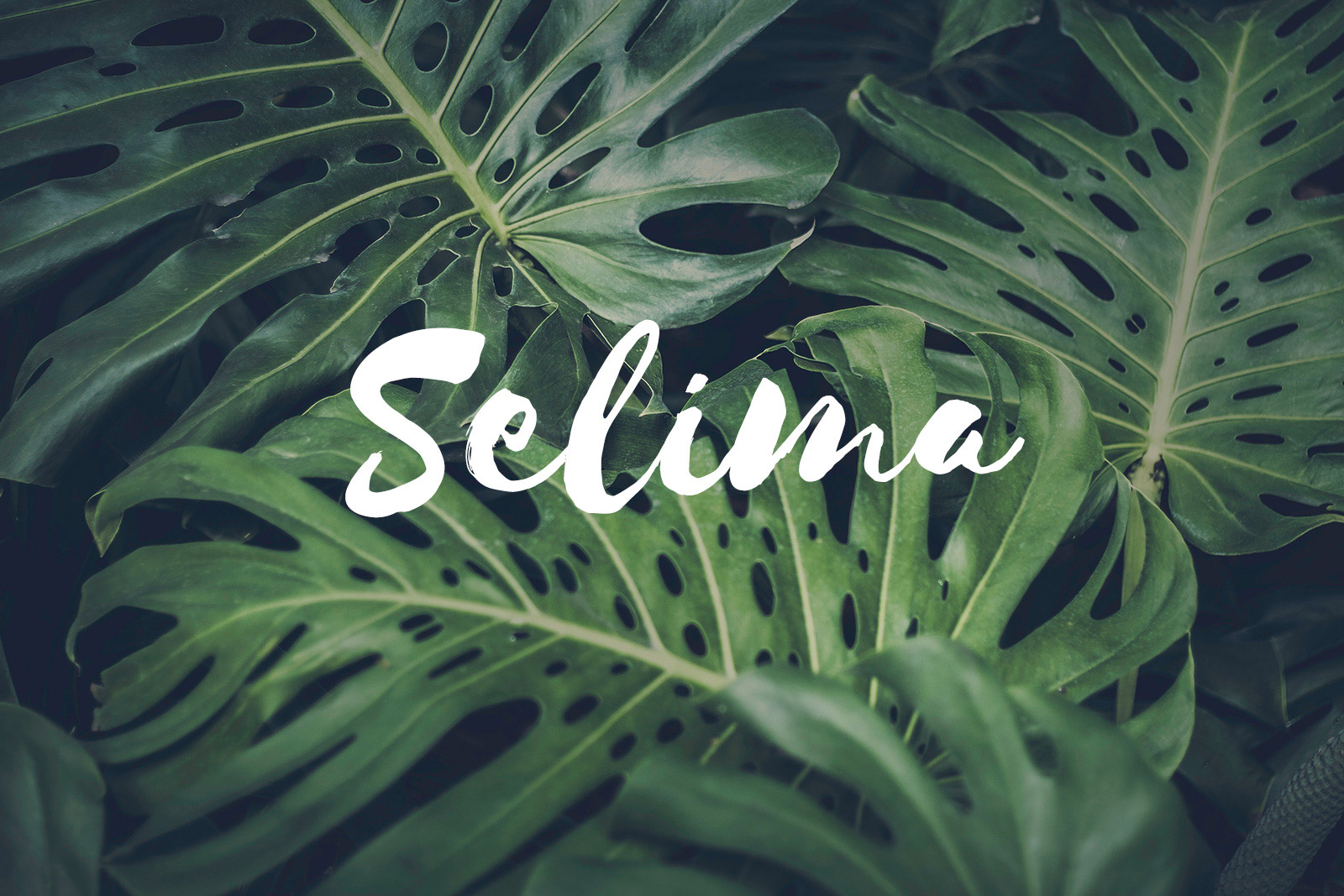 Resources Post Selima